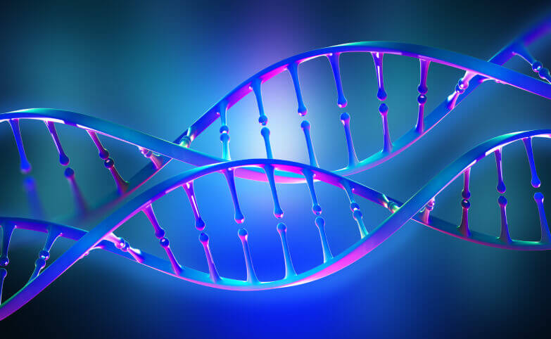 ľudský genóm